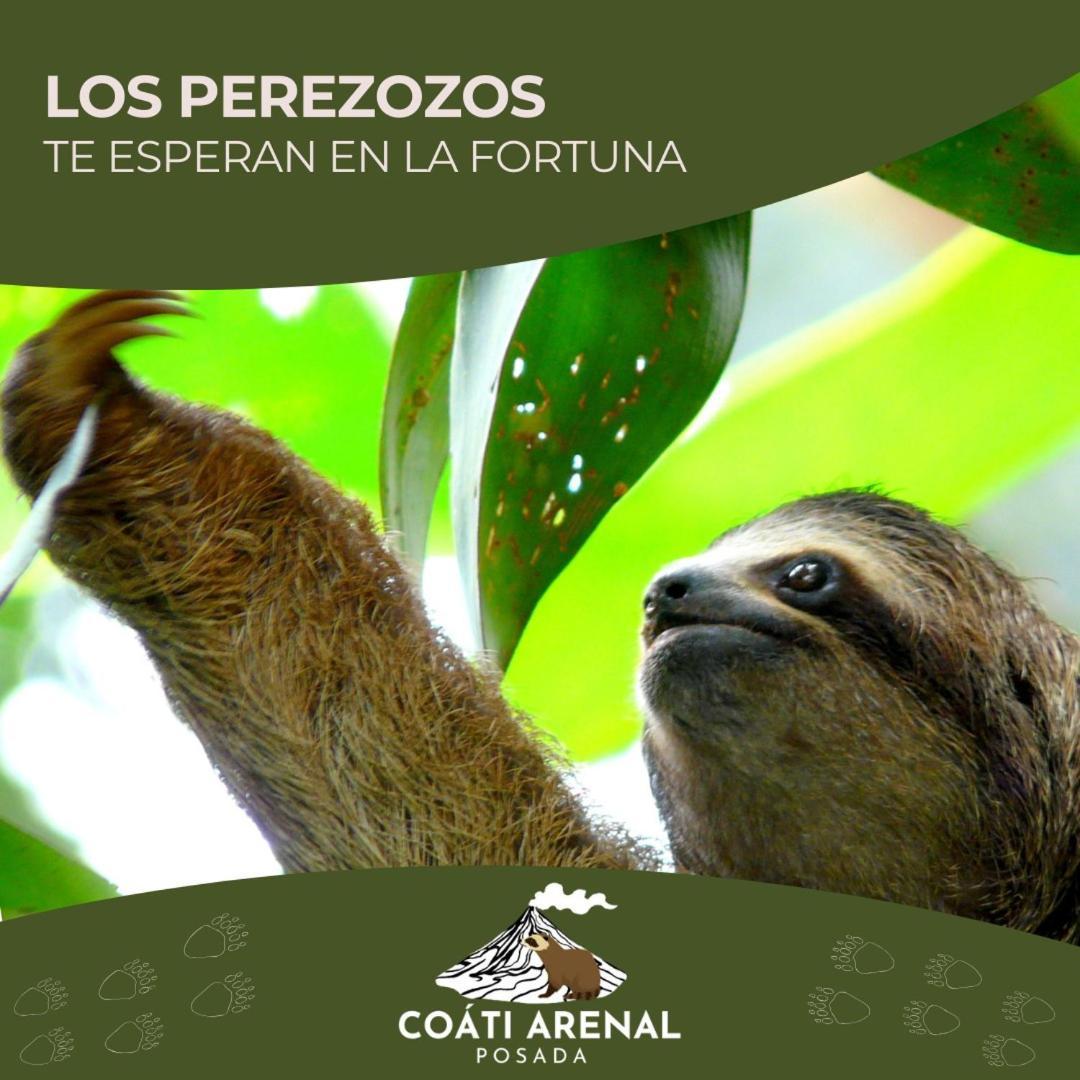 Coati Del Arenal Posada La Fortuna Екстер'єр фото