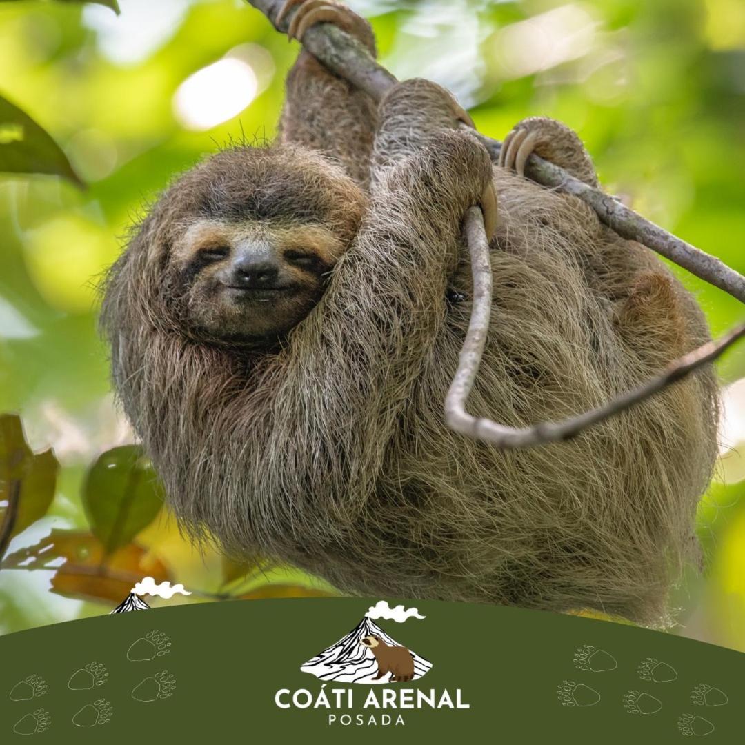 Coati Del Arenal Posada La Fortuna Екстер'єр фото